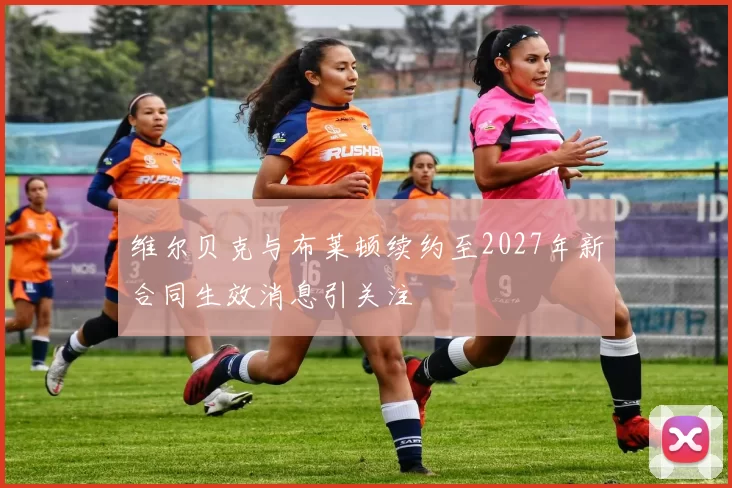 维尔贝克与布莱顿续约至2027年新合同生效消息引关注